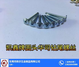 樹脂瓦專用螺絲 梅州螺絲 凱宇五金誠信推薦